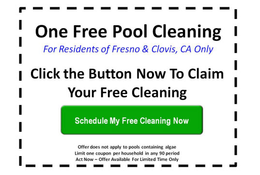 One Free Cleaning